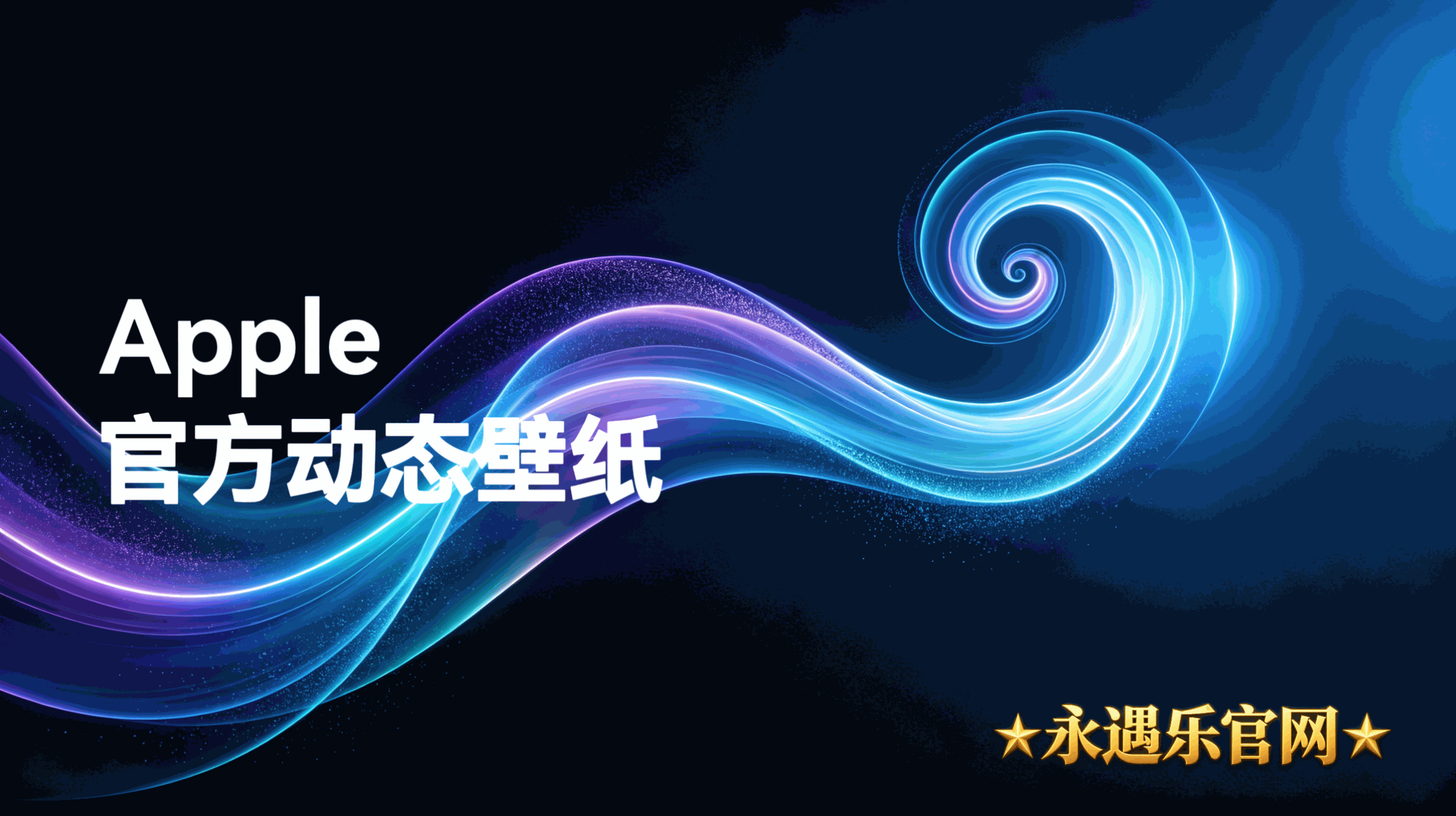 动态.png